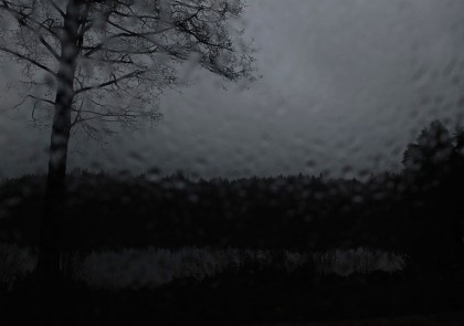 Ett ensamt träd i ett regntung landskap fyllt av mörker