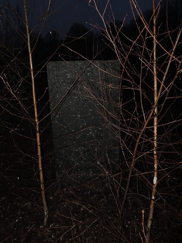 Det är natt och bakom avlövade träd syns en gravsten.
